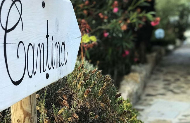 Visita à vinícola Locanda Murales com degustação - Foto 1