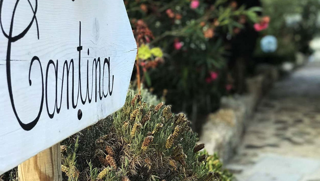 Como chegar à vinícola