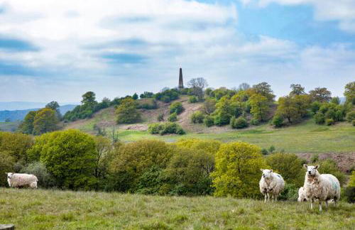 Little Hollows Glamping - Foto 58