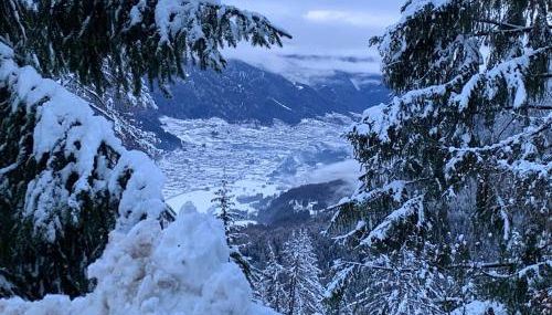 Lacasinapungitopo - Photo 2