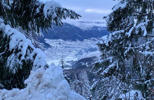 Lacasinapungitopo - Photo 2