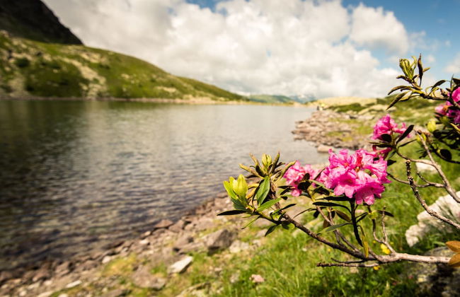 Villa Orania - Foto 54