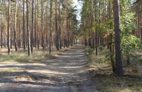 Ferienwohnung Zossen - Photo 27