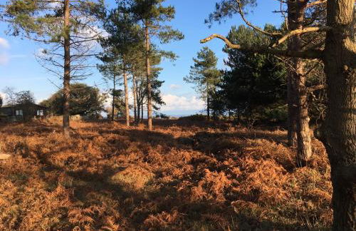 The Old Stable at Manor House, Middleton - Foto 46