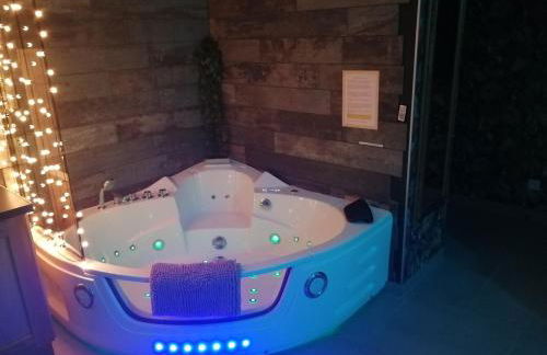 Romantisme et glamour 2 avec spa , clim et jardin - Foto 3