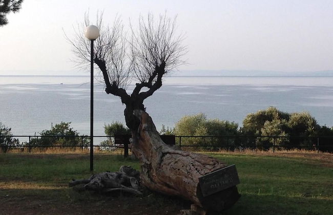 Luxury Residential Home Evangeli - Foto 57