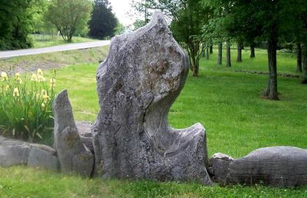 Hillbilly Chic Tiny House Near Nashville with WiFi, Kitchenette, Fire Pit & Trails - Foto 42