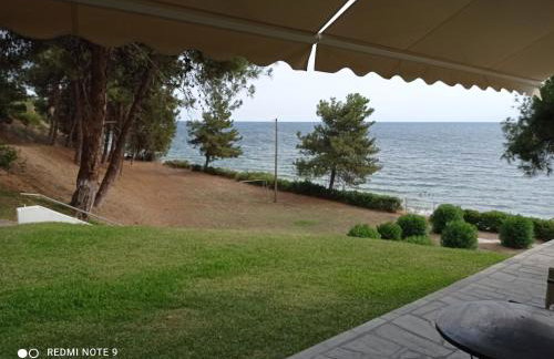 Sunset Apartment - Foto 38