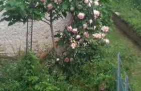 Incontro là dove si perde il giorno - Foto 12