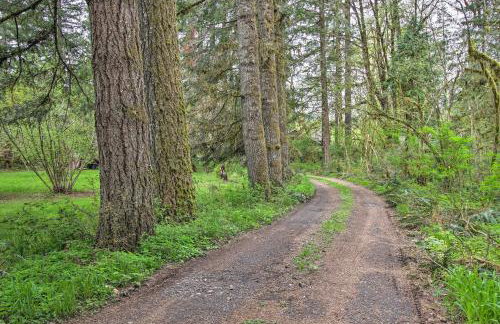 Vida Cabin with Yard and Grill on McKenzie River! - Foto 24