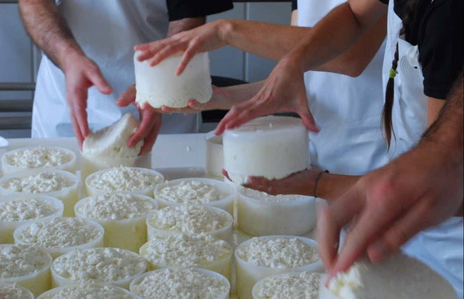 Visita a una quesería + Taller de queso de cabra - Foto 3