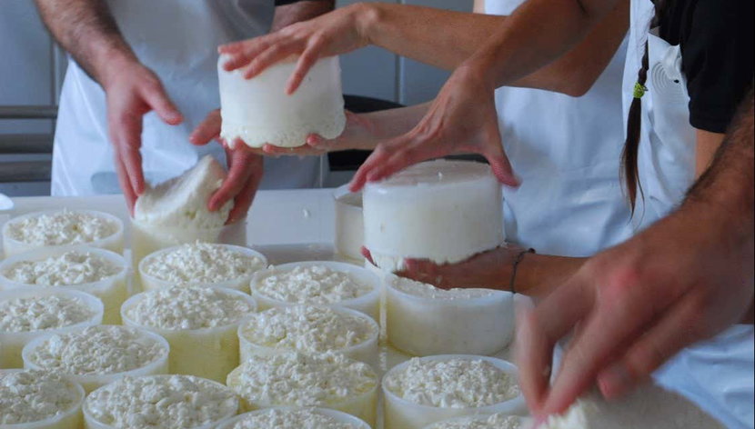 Visita a una quesería + Taller de queso de cabra - Foto 3, Taller de elaboración de queso de cabra
