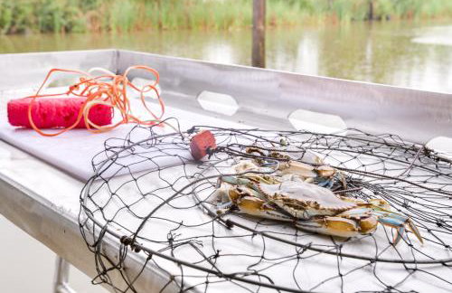 Dularge Copper Landing - Steps to Falgout Marina - Foto 35