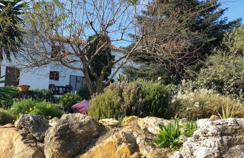 Finca Las Morenas - Foto 34