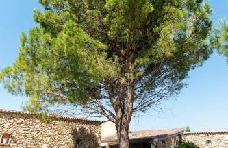 Bastide Les Basses Royères - Foto 16