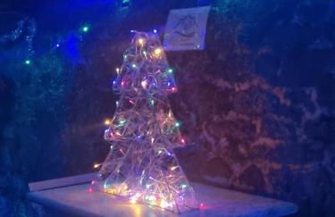 Ortacolorhome GreenHome-Boleto - Foto 2