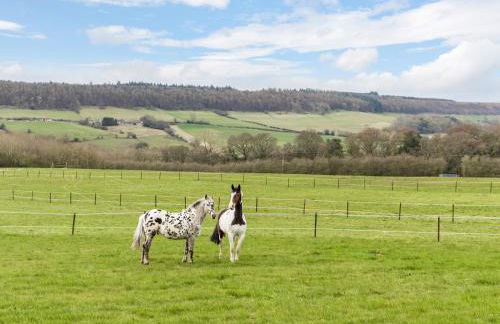 Foxglove - Uk51200 - Foto 26