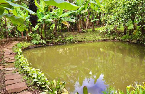 Casa Centenária com 20 min de Gramado - Foto 15