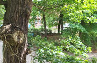 Apartament nad jeziorem Zamkowym - Foto 24