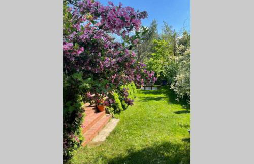 Domek w Sitnie - Foto 31