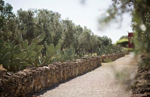 Tenuta Monacelli Lecce - Foto 52