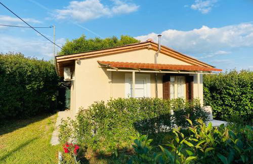 The mansion of Dionisos and Dimitras 5 - Foto 10