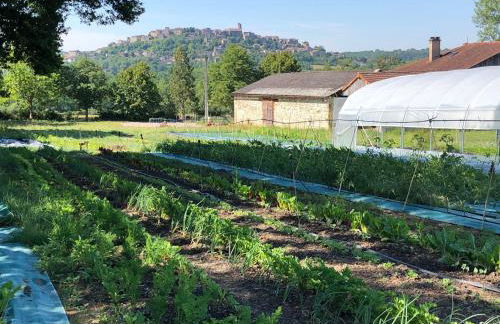 Gîte à la Ferme de Verdurette Cordes-sur-Ciel - Foto 33