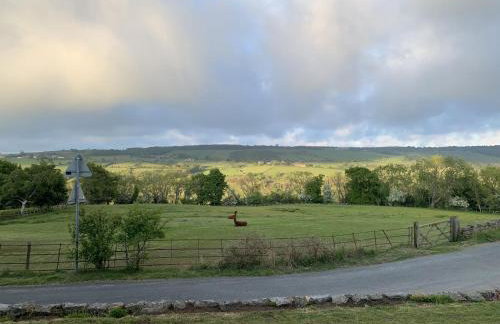 Brambly Cottage - Foto 14