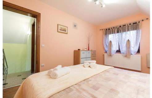 Cozy Home In Brestovac With Sauna - Foto 33