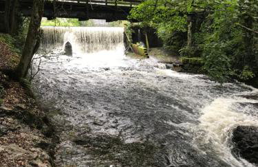 The Lodge - Photo 34