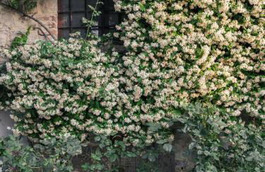 Borgo Argenina - Foto 59