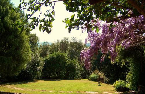 Nurazzolas - Foto 37