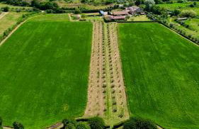 Agriturismo Arlena - Foto 29