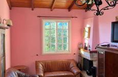 Mar de flores - Foto 9