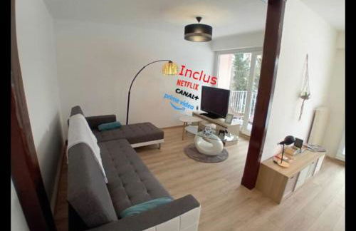 Vue du Doubs T4 cosy très bien situé - Foto 1