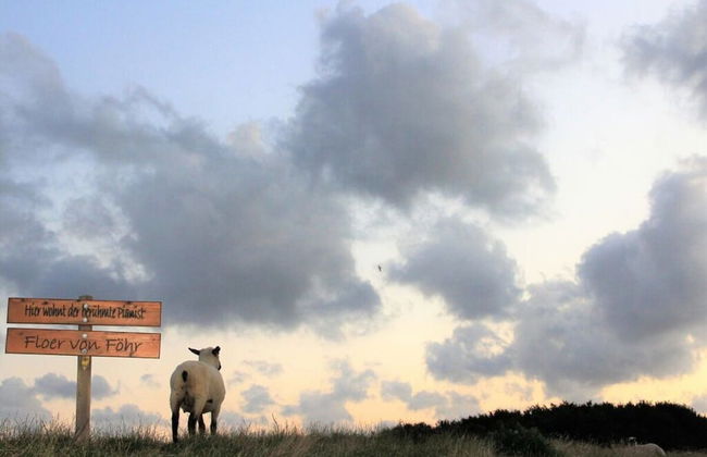 Westerheide Modern Retreat - Foto 14