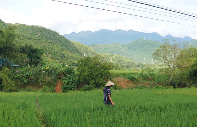 Mai Hich Farmstay - Foto 14