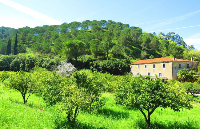 Quinta de Rio Alcaide - Foto 1