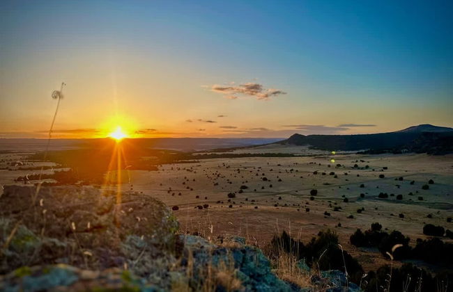 Franklin Fab Gallery House - Photo 26