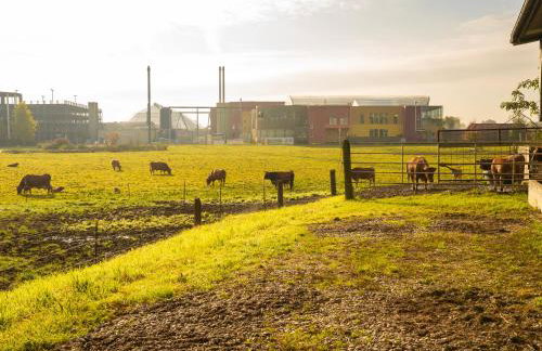 Gemütlicher Camper fußläufig zur Therme Erding - Foto 17