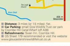 The Loft at the Croft - Stunning rural retreat perfect for couples & dogs - Foto 29