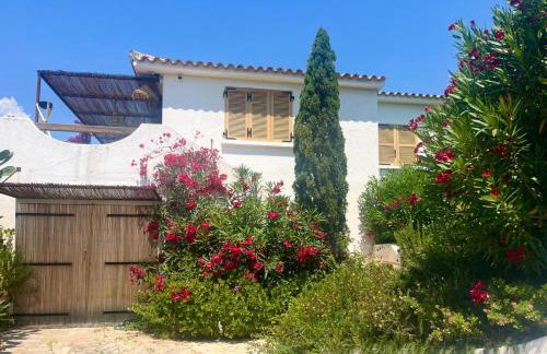 Villa LILY BAY baie de Santa Giulia-Porto Vecchio - Foto 57