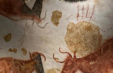 Charmant T2 tout confort - Foto 28