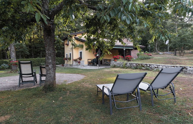 Giardino Boschivo - Foto 20