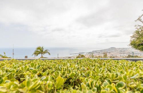 Garden House - Foto 11