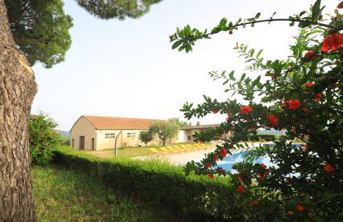 La Palombara - Foto 65