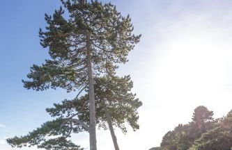 The Osborne Apartments - Foto 103