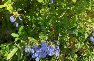 Costa Trabocchi appartamento sul Mare - Foto 33