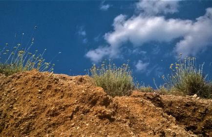 Apartmani Milena - Foto 69