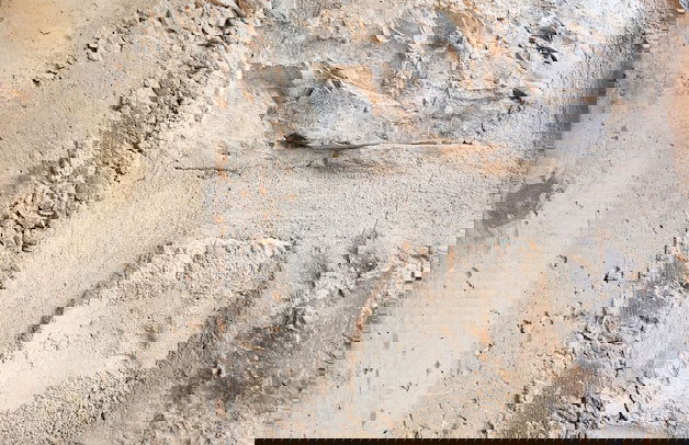 Le 31 McMahon - Par Aneyro - Foto 3